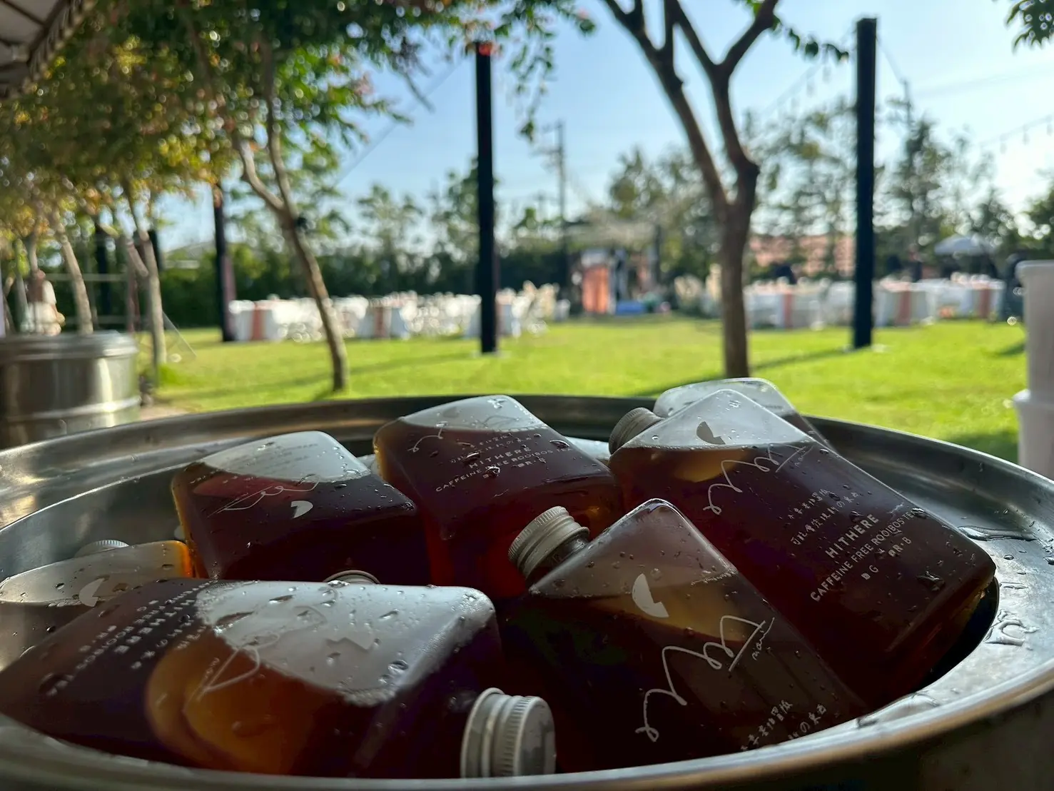 南非國寶茶冷泡，適合企業活動、會議茶飲與大量接待飲品